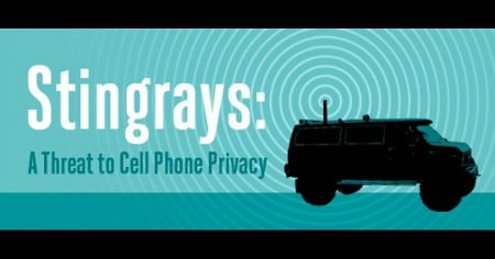 Stingray_Blog