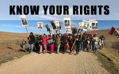 Know Your Rights