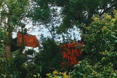 Tree-sits block the pipeline route in Louisiana