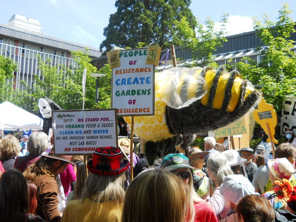 2013 Monsanto protest in Wayne Morse Free Speech Plaza