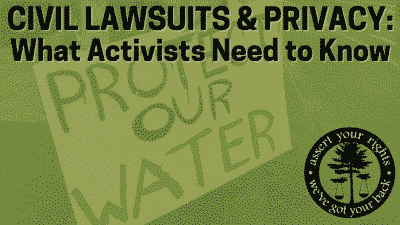 Green tinted protest sign that reads "PROTECT OUR WATER" with blog title and CLDC logo
