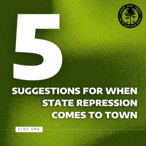 A grainy green background with a large white #5 in the left corner, CLDC logo in the upper right corner, cldc.org in bottom left corner. Text reads "suggestions for when state repression comes to town."