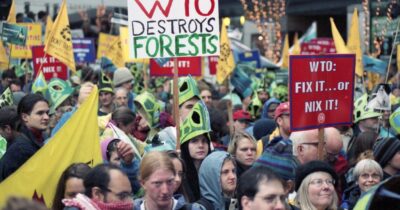Protesters fill the streets of Seattle protesting the WTO in 1999, holding signs that read WTO Destroys Forests, and WTO...fix it or nix it.