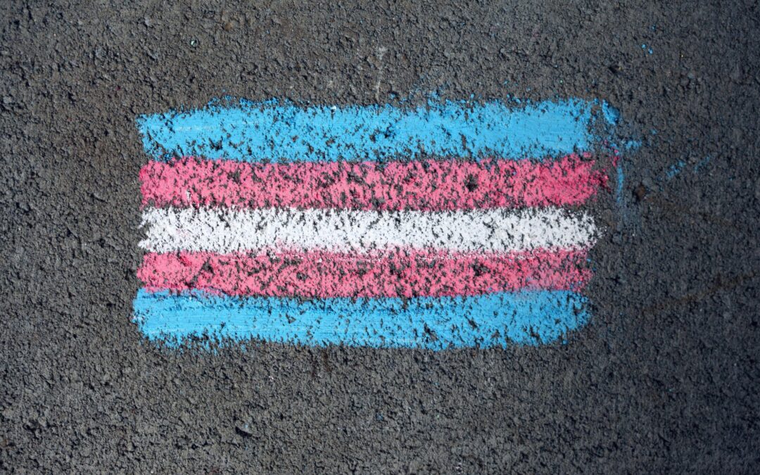 Trans Day of Visibility (TDOV)
