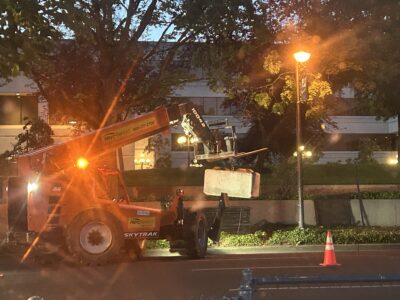 Authorities remove fence at Federal Free Speech Plaza in Eugene, OR